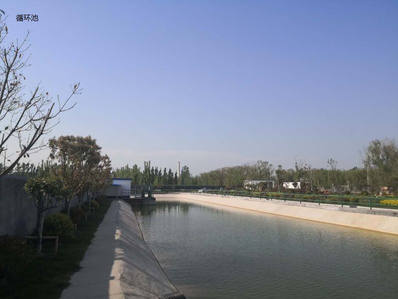 중국 Shandong Xingshun New Material Co., Ltd. 회사 프로필 